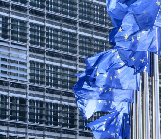 Punti di frizione Il fatto è che l’Europa dovrebbe fare da sola, ma non ne è capace.(di Stelio W. Venceslai)