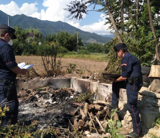 ALIFE (CE): I CARABINIERI FORESTALE TRAGGONO IN ARRESTO DUE PERSONE SORPRESE A BRUCIARE INGENTI QUANTITATIVI DI RIFIUTI SPECIALI MENTRE UNA TERZA È STATA DEFERITA IN STATO DI LIBERTÀ