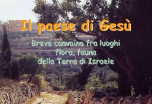 Il paralitico. Gesù è più di un medico: prima dà il perdono, poi la guarigione