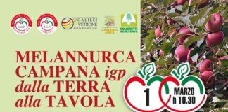 All’ITS Galilei-Vetrone di Benevento si parlerà di Melannurca Campana IGP, venerdì 1 marzo