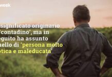 Cafone / Contadino; persona rozza, villana / «Si è comportato da cafone, non lo chiamerò mai più.»