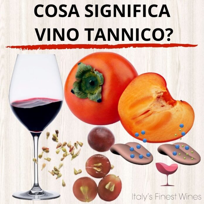 Tannico Tannico / Le parole del vino /Relativo al tannino, classe di composti ...